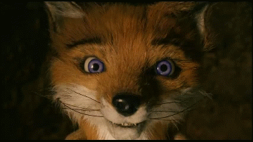 fantastic-mr-fox-gif